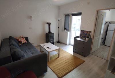 Apartament cu o camera Anina - 8