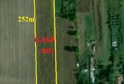 Teren 6.668 mp, de vanzare, loc. BOGDAN VODA, la E-85, com. Saucesti, jud. Bacau - 7
