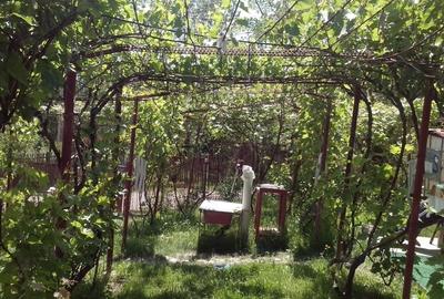 Casa de vanzare in alimpesti - 8