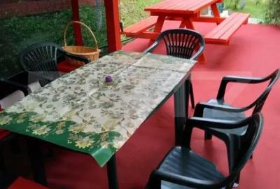 Casă cu 2 camere cu Teren 1153 Mp în Aurel Vlaicu - 3