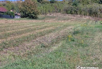 Teren de vanzare – Popesti Vale, 3600 mp - 3