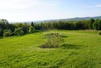 Teren Construcții intravilan de 38592 mp, în Sud-Vest - 21