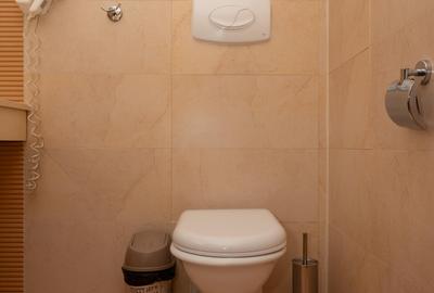 Garsoniera Prima Inchiriere Rin Grand Residence Delta Vacaresti Vitan - 10