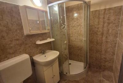 Apartament cu 2 camere decomandat în Podgoria - 10