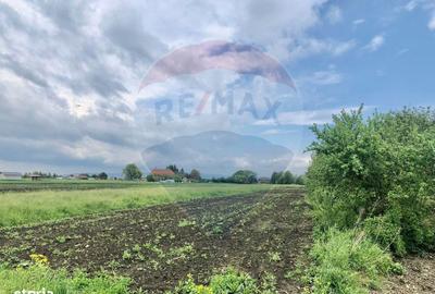 Spațiu comercial, în Stupini - 8