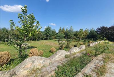 Teren Construcții intravilan de 900 mp, în Săcel - 19