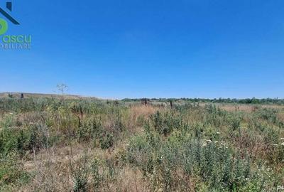 Teren Drum la Chiajna, sector 6, 11.350 mp, D 33 ml - 3