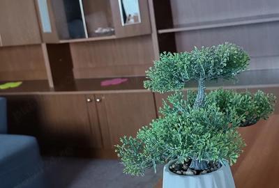 Garsonieră decomandată în Central - 8