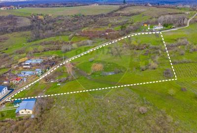 Teren Construcții intravilan de 33500 mp, în Valea Orlei - 4