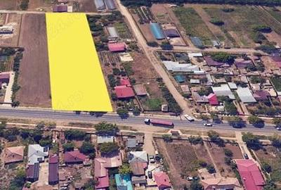 Teren de 5000 mp, în Tămădău Mare - 5