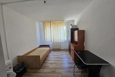 Garsoniera Nicolae Dobrin, parter - 4