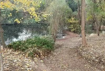 Villa |  ideal investment  Land with access to Snagov lake - 3