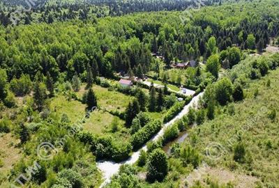 Teren intravilan 2600 mp de vanzare pe Valea Avrigului - 3