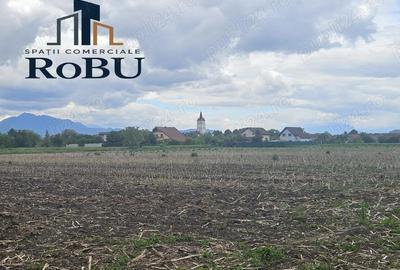 Teren in Harman # Robu Spatii Comerciale - 5