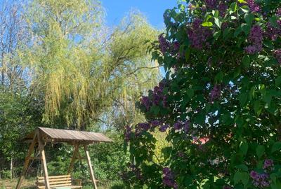 Fermă de vânzare în com. Deleni - DN3 - 10.680 mp - 84 m deschidere - 28