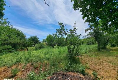 Spațiu comercial, în Valea Presnei - 2