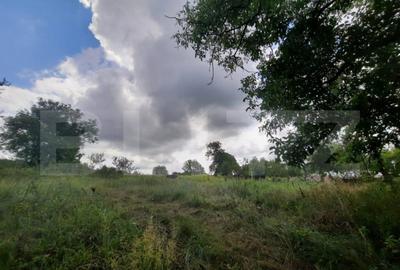 Teren 5000mp, langa padure, Dobrovat - 3