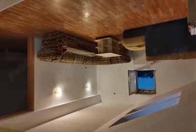 Ofer spre inchiriere Ap.2 camere C.Buziasului-Ciarda - 2