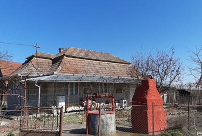 Casă cu 2 camere în Chețani - 8