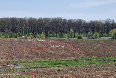 Snagov, Vladiceasca, Intravilan, zona de vile noi, canalizare, electricitate - 12