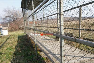 MICRO-FERMA CASA IN VOIVOZI - BIHOR - 5