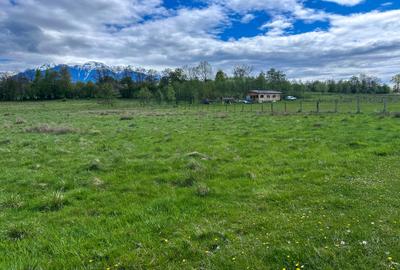 Teren Bran Zarnesti 3 km Castelul Bran 25 km Brasov Teren Bran Zarnesti 3 km Castelul Bran 25 km Brasov - 2