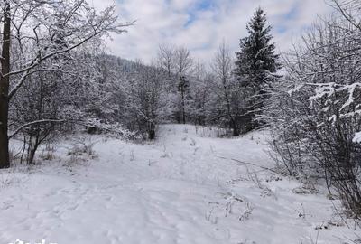 Teren de 22600 mp, în Sucevița - 9