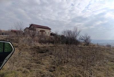 Teren de 967 mp, în Central - 5