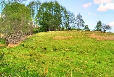 25.000 mp TEREN IDEAL AFACERE TURISM – AMENAJARE LAC DE PESCUIT, CIUCEA - CLUJ - 36