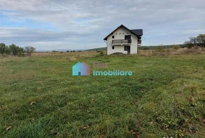 Casă cu 4 camere cu Teren 8450 Mp în Central - 3