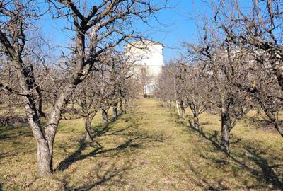 Teren de 6307 mp, în Exterior Vest - 3