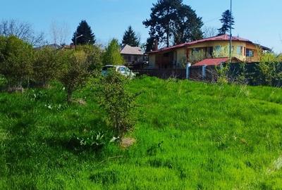 Teren intravilan de 10000 mp, în Grădiștea - 12