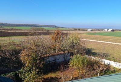 Teren de 460 mp, în Dascălu - 2