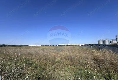 Teren de 22800 mp, în Ștefăneștii de Jos - 2