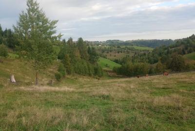 Spațiu comercial, în Măguri - 4