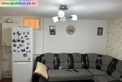 Tihuana Imobiliare:casa de vanzare-Buna Vestire - 13