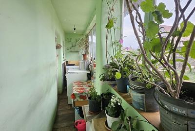 Casă cu 2 camere în Biharia - 6