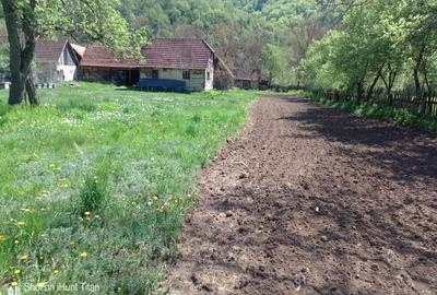 Casă cu 2 camere în Troaș - 2