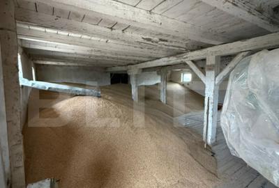 Ferma de Vanzare in judetul Timis, la nord est de Timisoara, - 7