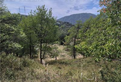 Teren intravilan pentru investitie turistica, 4000 mp, langa - 4