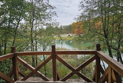 Teren intravilan 2000 mp zona Lac Stei Teren intravilan 2000 mp zona Lac Stei - 3