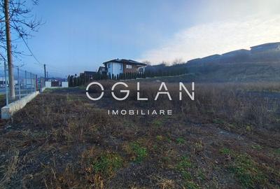 Teren Imprejmuit, la sosea (DN14)- SURA MARE - 5