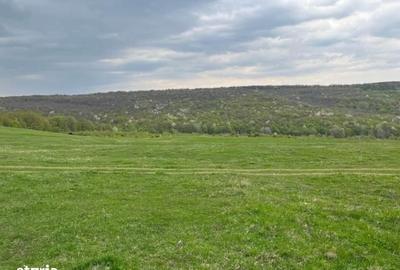 Teren de 4000 mp, în Grajduri - 3