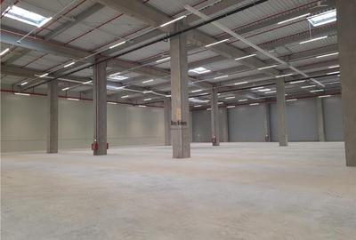 Spatiu Industrial - 2500 mp - Logistica - Productie - Depozitare - Distributie - 6