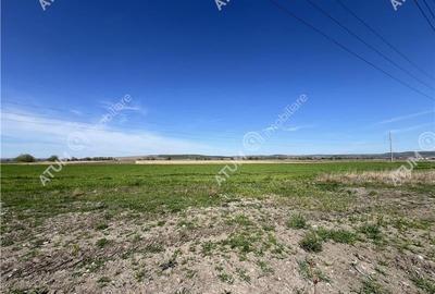 Teren intravilan in Sibiu  3300 mp situat in zona Calea Surii Mici - 2