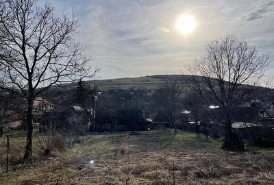 Casă cu Teren 1897 Mp în Troița - 2