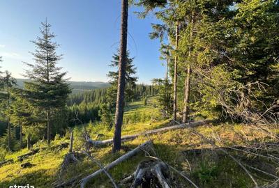 Spațiu comercial, în Ciocănești - 3