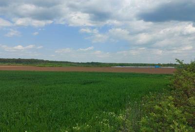 Teren de 35000 mp, în Periș