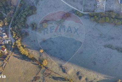 Spațiu comercial, în Cheile Râșnoavei - 3