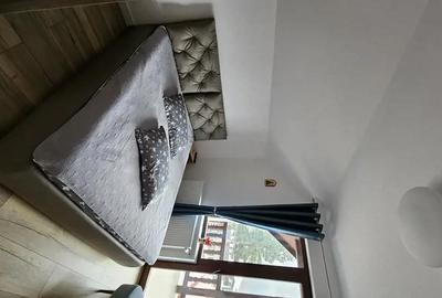 Apartament cu 2 camere decomandat în Bușteni - 9
